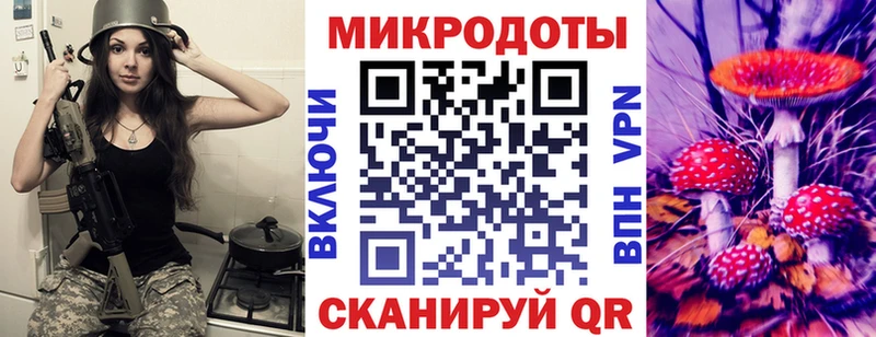 мориарти клад  Чулым  Псилоцибиновые грибы мухоморы 